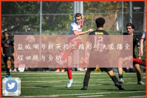 盐城湖与新英格兰精彩对决直播全程回顾与分析