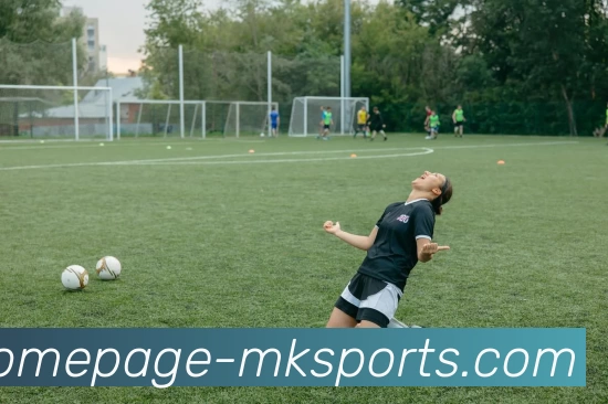 MK体育平台生态图